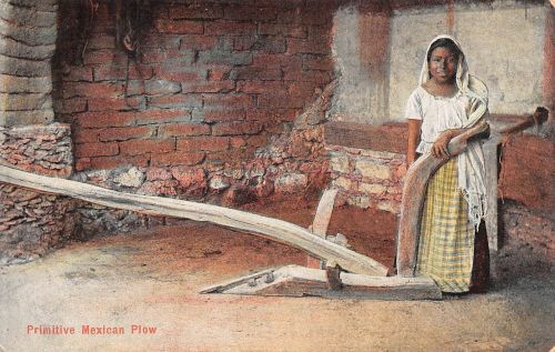 Mex Primitive Mexican Plow ngl 188.591