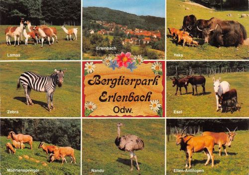 Fürth i. Odw., Bergtierpark Erlenbach Mehrbildkarte ngl 188.820