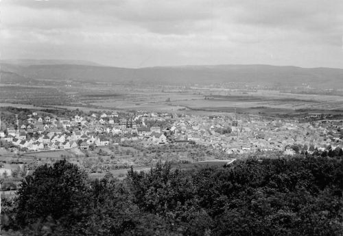 Gau-Algesheim Panorama Fotokarte ngl 189.022