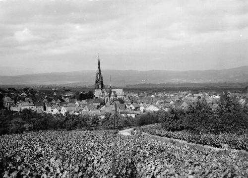 Gau-Algesheim Panorama Fotokarte ngl 189.023