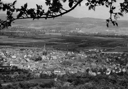 Gau-Algesheim Panorama Fotokarte ngl 189.024