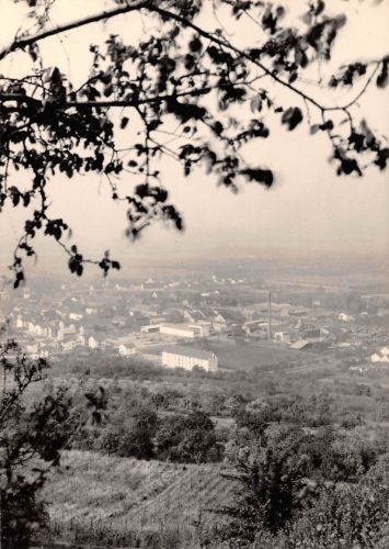 Gau-Algesheim Panorama Fotokarte ngl 189.026