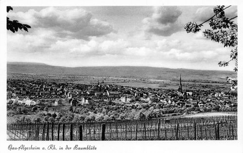 Gau-Algesheim in der Baumblüte ngl 189.030