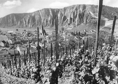 Ebernburg b.Bad Münster am Stein Panorama ngl 189.039