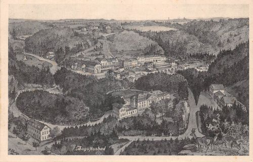 Augustusbad Panorama Künstlerkarte sign. gl1936 189.817