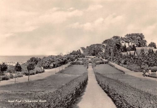 Insel Poel Schwarzer Busch ngl 190.231