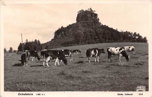 Sächsische Schweiz Zirkelstein ngl 191.104