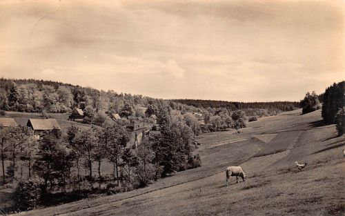 Mulda Teilansicht gl 193.294