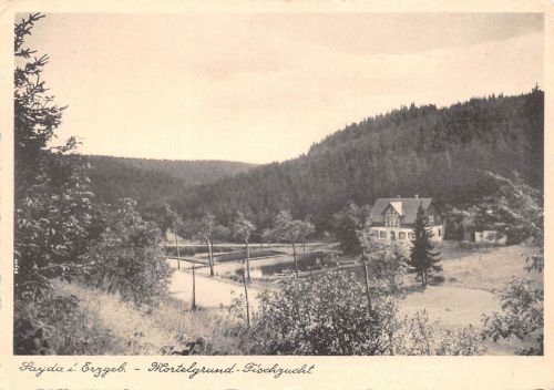 Sayda i.Erzgebirge Mörtelgrund-Fischzucht ngl 193.307