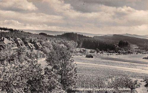 Sayda i.Erzgebirge Siedlung gl1961 193.311
