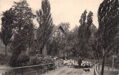 Dittersdorf Auf der Dorfstraße ngl 193.375