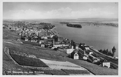 Rüdesheim a. Rhein aus dem Weinberg ngl 193.763