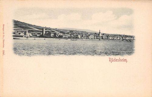 Rüdesheim a. Rhein Teilansicht ngl 193.771