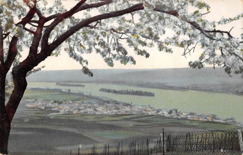 Rüdesheim a. Rhein Panorama ngl 193.772