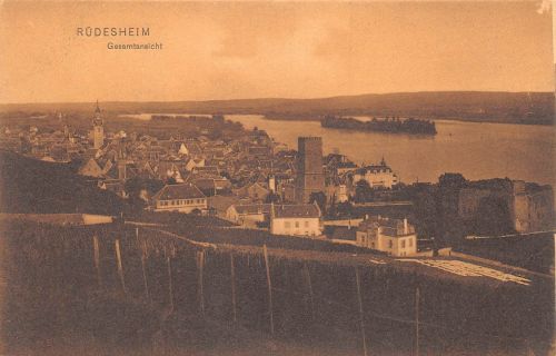Rüdesheim a. Rhein Gesamtansicht ngl 193.774