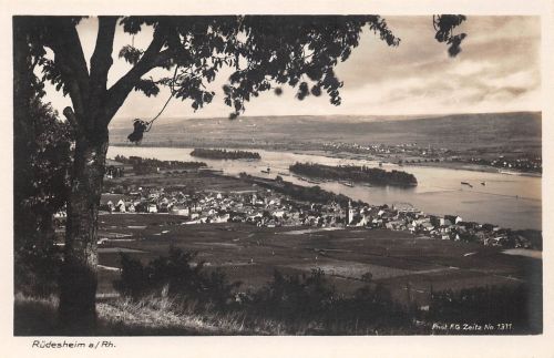 Rüdesheim a. Rhein Gesamtansicht ngl 193.776