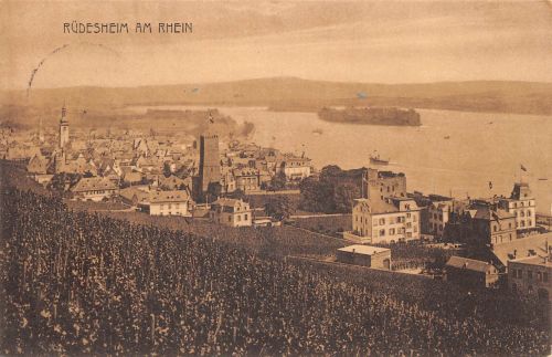 Rüdesheim a. Rhein Panorama Belgische Feldpost feldpgl1921 193.779