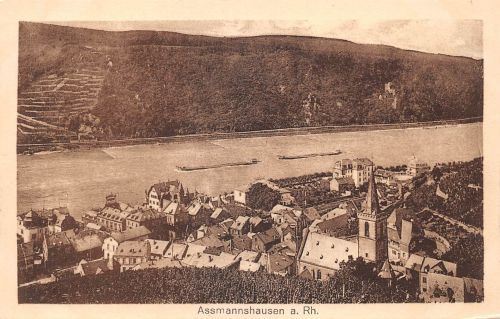 Assmannshausen a. Rhein Panorama ngl 193.842