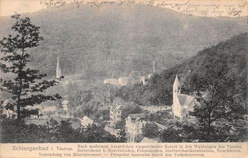 Schlangenbad i. T. Panorama gl1909 193.996