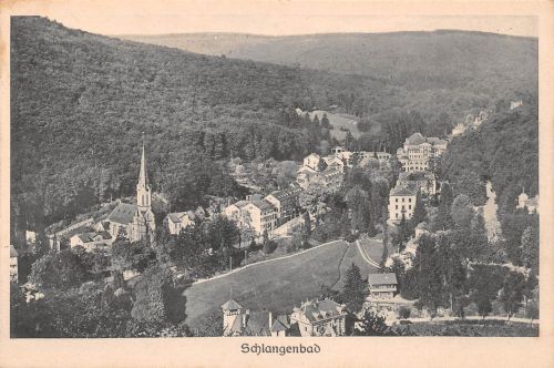Schlangenbad i. T. Panorama ngl 193.997