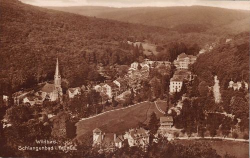 Schlangenbad i. T. Panorama ngl 193.998