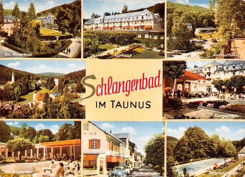 Schlangenbad i. T. Mehrbildkarte gl1963 194.008