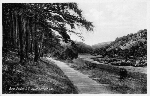 Bad Soden (Taunus) Altenhainer Tal ngl 194.031