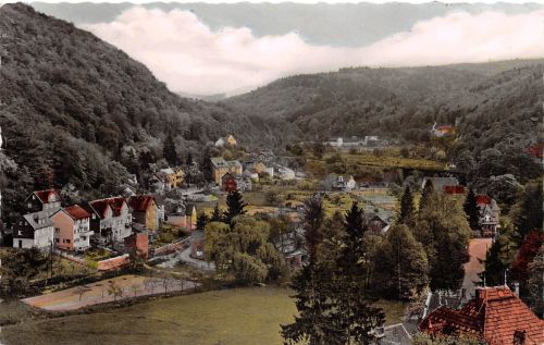 Eppstein i. Taunus Lorsbachtal gl1959 194.059