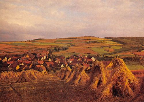 Untergeis in Hessen Panorama ngl 194.802