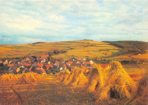 Untergeis in Hessen Panorama ngl 194.803