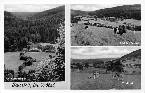 Bad Orb Mehrbildkarte gl1956 195.012