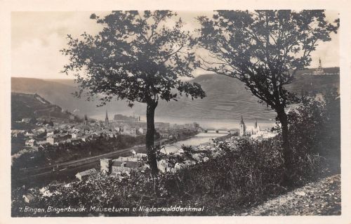 Bingen und Bingerbrück Panorama ngl 195.340