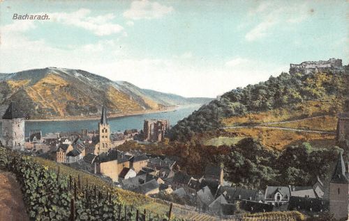 Bacharach am Rhein Panorama ngl 195.534