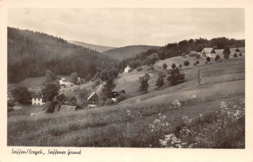 Seiffen (Erzgebirge) Seiffener Grund ngl 195.873