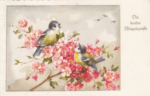 Pfingsten-Wünsche mit Blüten und Meisen gl1957 E6683