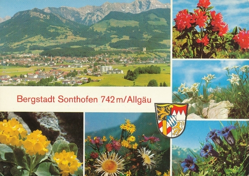 Sonthofen Blumen und Panorama gl1976 126.171