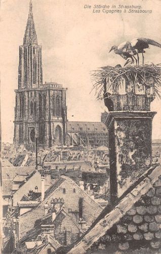 Elsass Strasbourg Les Cigognes gl1908 196.417