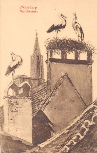 Elsass Strasbourg Storchennest ngl 196.419