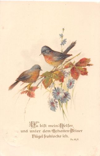 Religion Psalm 63,8 gl1928 196.474