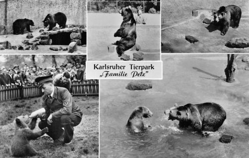 Zoo Karlsruhe Familie Petz ngl 196.614