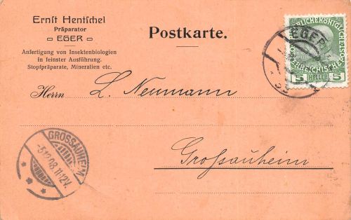 Eger Präparator Ernst Hentschel Karte nach Grossauheim gl1908 196.626