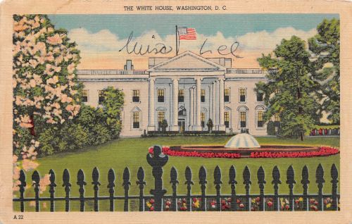 USA Washington D.C. The White House ngl 196.764