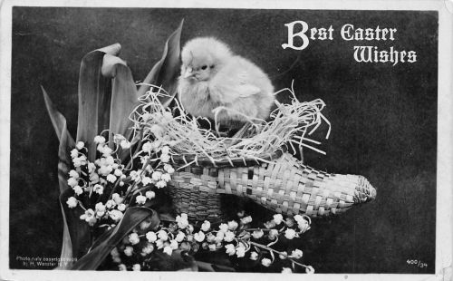 USA Best Easter Wishes gl1913 196.837