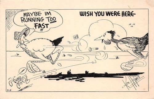 USA Wish you were here ngl 196.852