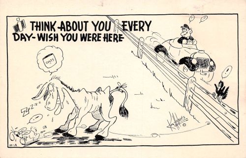 USA Thinks about you every day - wish you were here ngl 196.854