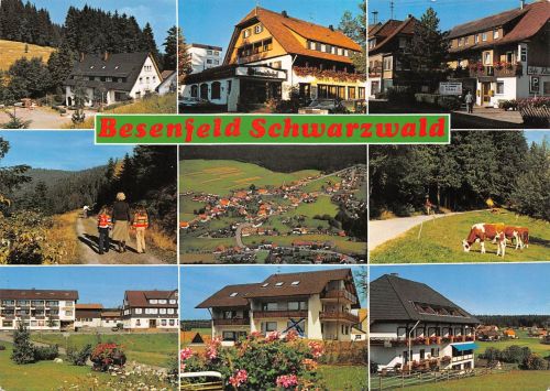 Besenfeld Schwarzwald Mehrbildkarte gl 196.972