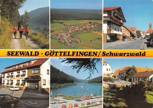 Seewald-Göttelfingen Schwarzwald Mehrbildkarte gl 196.973