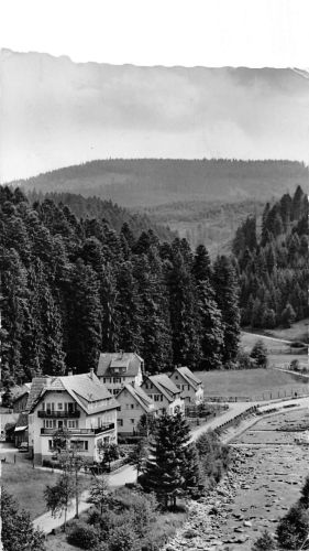 Schönmünzach im Schwarzwald Hotel Pension Klumpp gl1959 196.988