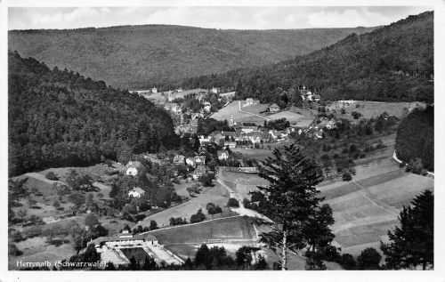 Bad Herrenalb Panorama gl1954 197.049