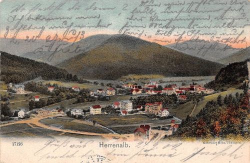 Bad Herrenalb Panorama feldpgl1902 197.050